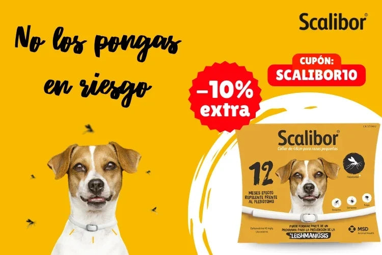 Todo Animal